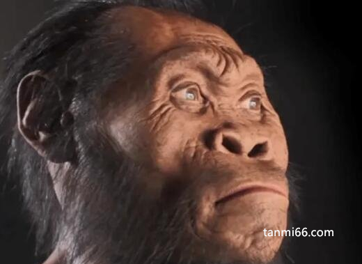 五千年前人类的样子，高大威猛人均1米8(附原始人复原图片)