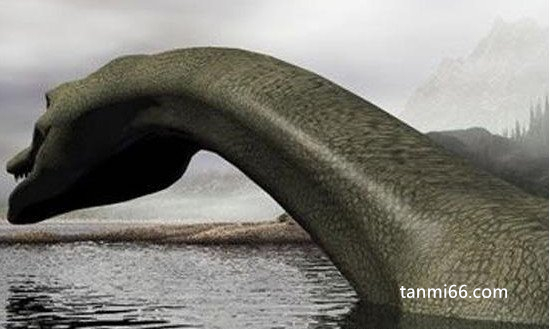 青海湖水怪之谜的真相，体长十几米似蛇颈龙(曾有几次目击事件)