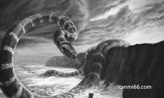 大海蛇之谜，大海蛇真的存在吗(据传可以轻松杀死一头抹香鲸)