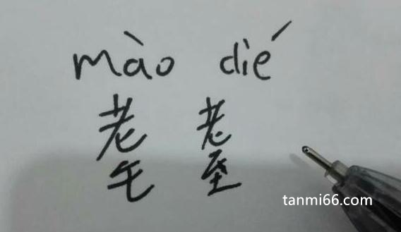 耄耋怎么读，读音为mo di(特指八九十岁的男性老人)