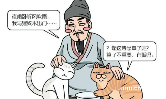 猫咪在古代的名字，狸奴/衔蝉(大诗人陆游堪称吸猫鼻祖)