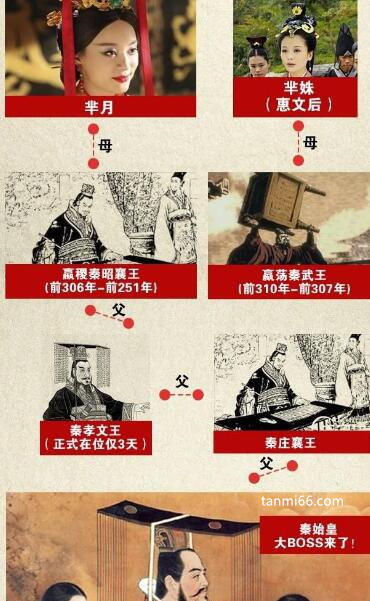 嬴政和芈月是什么关系,祖孙关系(嬴政治政能力竟是遗传)