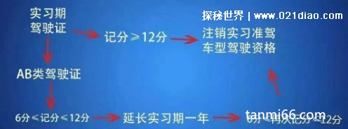 实习期驾驶证扣分新规定，扣6分延长/扣12分注销