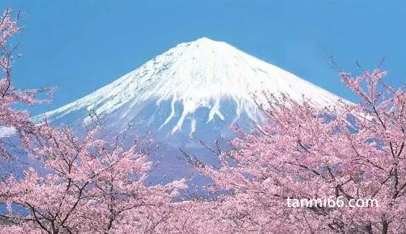 富士山是活火山还是死火山，活火山(休眠了300年近日即将喷发)