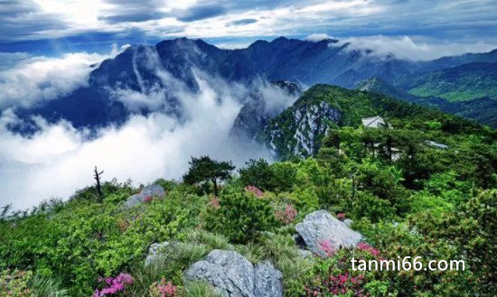 横看成岭侧成峰侧远近高低各不同是什么山，江西九江的庐山