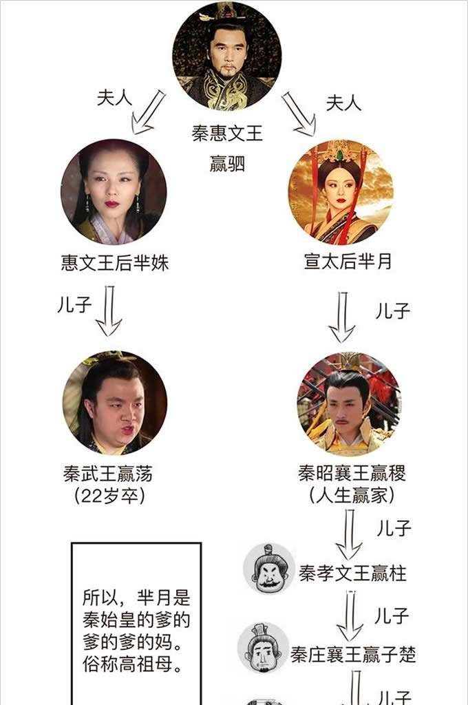 嬴政和芈月是什么关系?嬴政的高祖母(嬴政是芈月孙子的孙子)