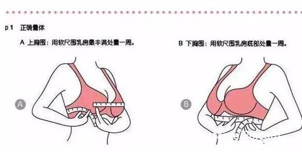 罩杯abcd怎么计算怎么分大小，罩杯是乳围减下胸围(附图解)