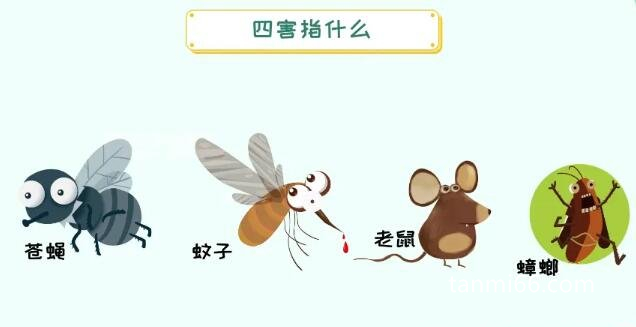 四害是指哪4种，苍蝇/蚊子/老鼠/蟑螂(它们身上带有大量的细菌病毒)