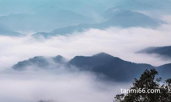 雾是怎么形成的，气温降低导致空气中水汽饱和凝结成小水滴