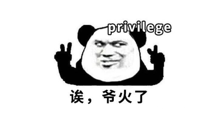 既然提到privilege是什么梗什么意思，凡尔赛人的专用开头语