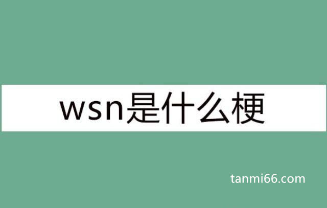 wsn是什么意思网络用语，猥琐男的拼音首字母缩写