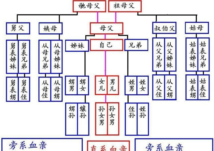 孩子辈分称呼大全图，赶快教孩子避免过年的时候叫错人