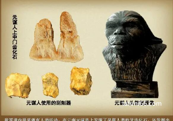 我国境内最早的人类是哪国人，云南元谋人距今170万年(远超蓝田人)