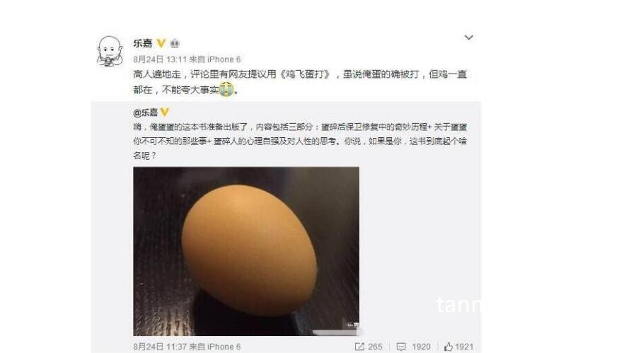 乐嘉蛋碎了是怎么回事，原版视频曝光蛋碎了两次(附事件经过)