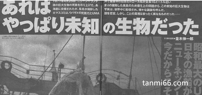 日本1977年海怪尸体事件，其实是姥鲨(日本人执着于恐龙)