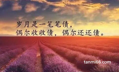 最经典人生感悟语句简约，句句充满正能量(朋友圈励志语录)