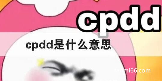 女生说cpdd是什么意思网络用语，找人配对(多用于组情侣或队友)