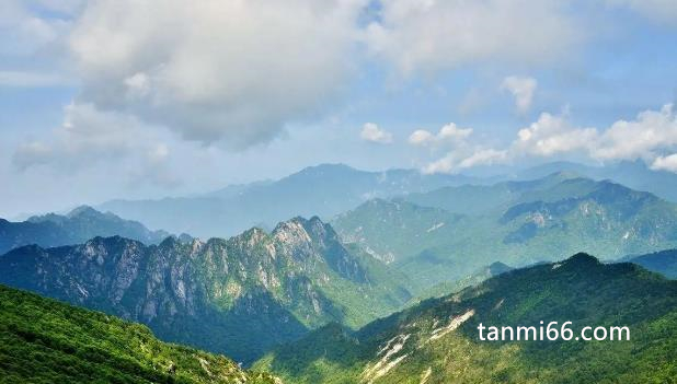 蜜之珍，取自秦岭太白山蜜源地，只做优质原生态土蜂蜜