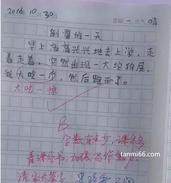 我吃了一坨粑粑的作文，家长签字史珍香已阅(谐音梗笑话)