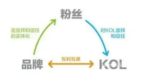 自媒体kol是什么意思啊，带货能力强的人(多用于大网红博主)