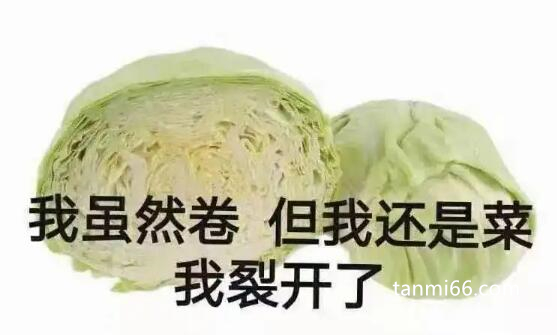 卷心菜是什么梗，嘲讽内卷但实力很菜的人(也可凡尔赛自称)