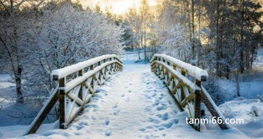 一句简短的雪景句子，凄美伤感触目伤怀的文案(适合发朋友圈)