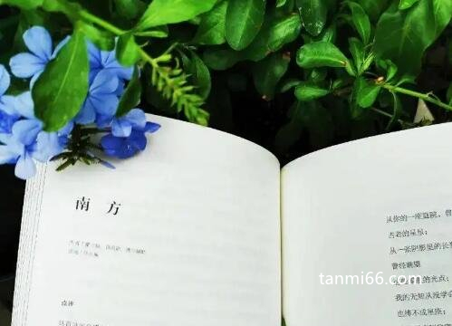 有关植物的现代诗四年级，每一首都值得摘抄(学习如何形容植物)