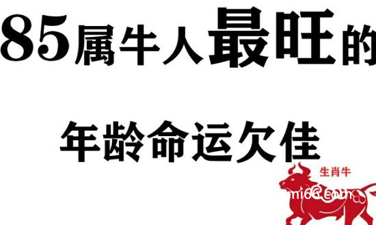 85年属牛人最穷不过36岁，熬过了2021年未来一帆风顺大富大贵