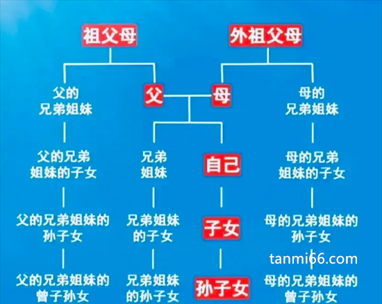 政审三代是指哪三代，直系三代亲属(爷爷辈父母辈兄弟姐妹)