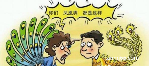 凤凰男什么意思啊，从草根逆袭的男性(传统思想根深蒂固)