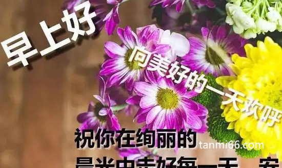 清明前后不问早上好图片，用图片代替语言表达最真挚的问候