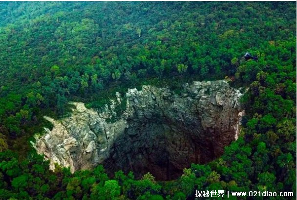 数万只燕子居住过，墨西哥燕子洞(是位于墨西哥中部)