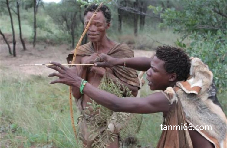  布须曼人是非洲南部的民族，生活自由自在(被世人漠视)