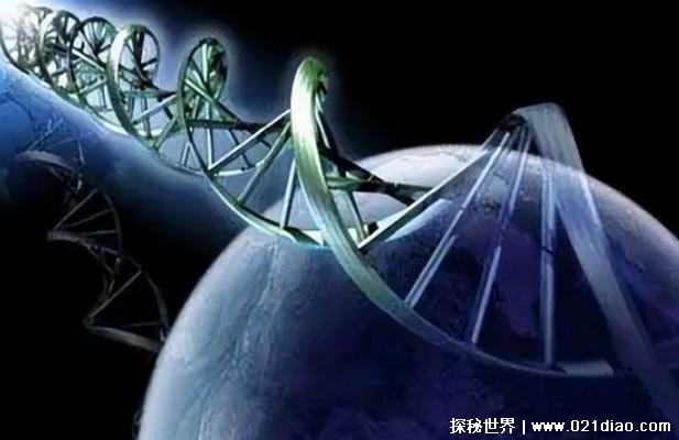 为什么地球的生物都是碳基生命，大自然环境(物竞天择)