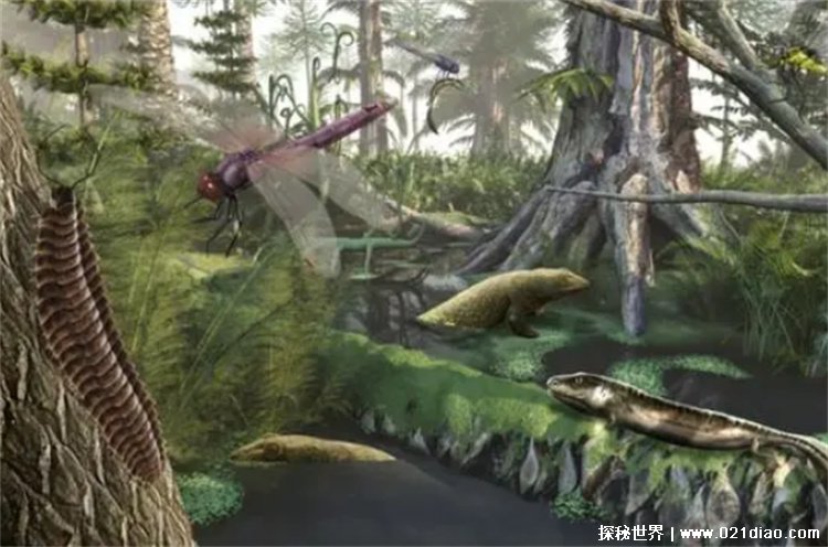  3亿年前的石炭纪，蜈蚣和蜻蜓称霸世界(巨虫时代)