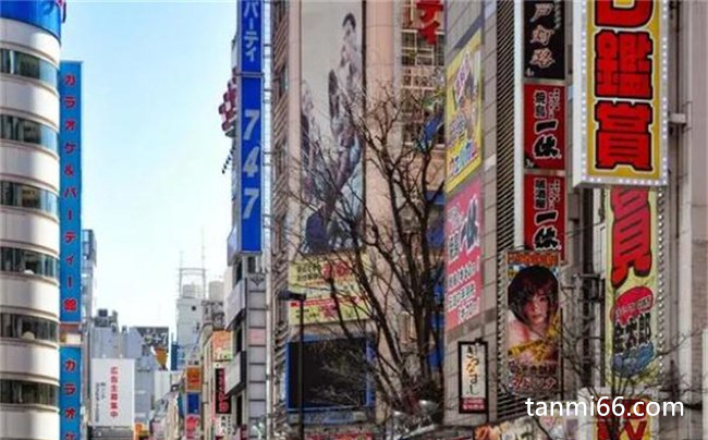  日本最著名的红灯区，新宿歌舞伎町 (充满活力)