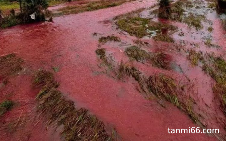  河流决堤后河水变血红色，自然现象(克利维里赫)